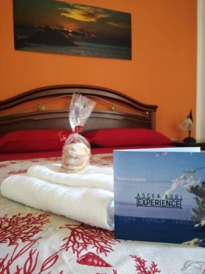 Asceaexperience Rooms Bagian luar foto